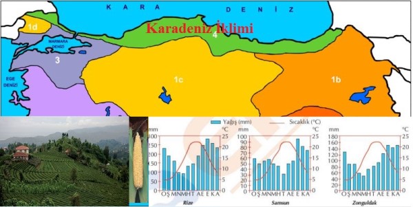 Karadeniz İklimi