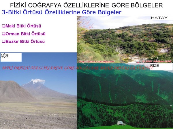 Coğrafi bölge