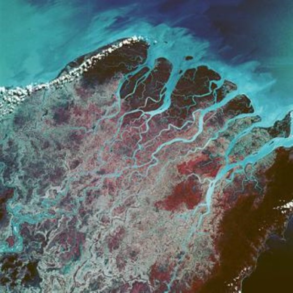 Estuar tipi kıyılar