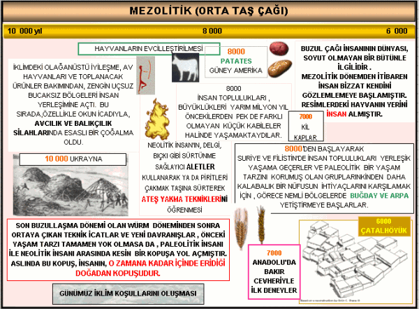 Mezolitik (Orta taş çağı)