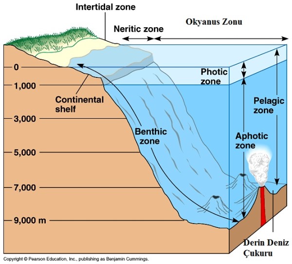 Derin deniz platformu