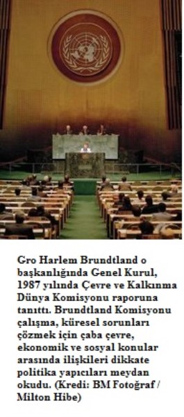 Dünya Çevre ve Gelişme Komisyonu