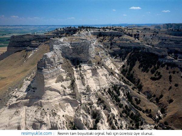 Şahit tepe (Tanık tepe)