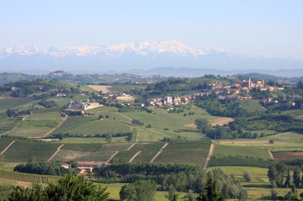 Piedmont