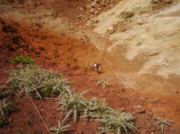 Kestane ve kahverenkli step toprakları