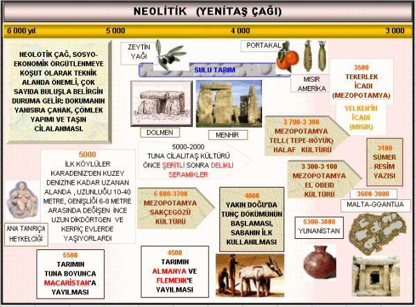 Neolitik (Yeni taş çağı)
