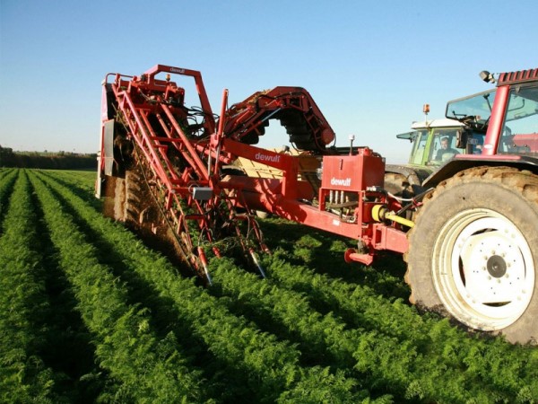 Entansif tarım( İntansif tarım )