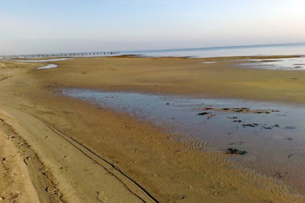 Cezir (Deniz çekilmesi)