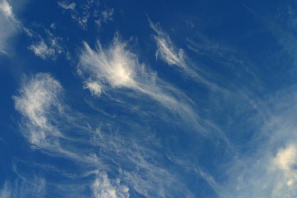 Sirüs Bulutları (Tüy Bulut)