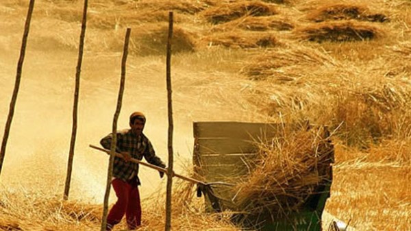 Geçime dayalı tarım