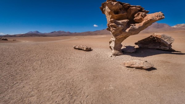 Rüzgâr aşındırması