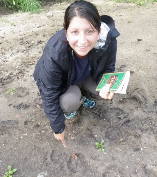 Arkeolojik sit alanı