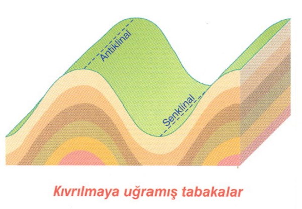 Kıvrım