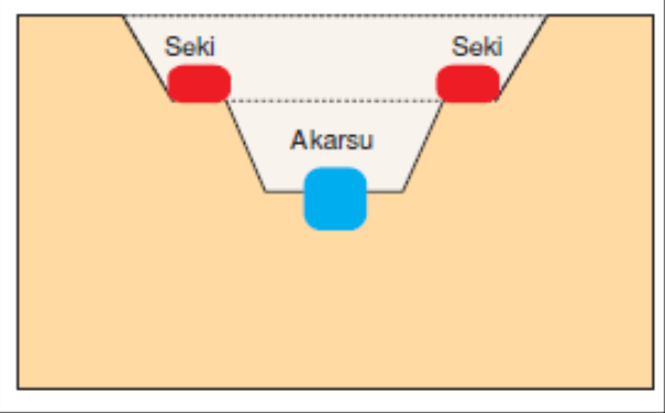 Akarsu sekisi