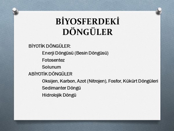 Doğal döngü