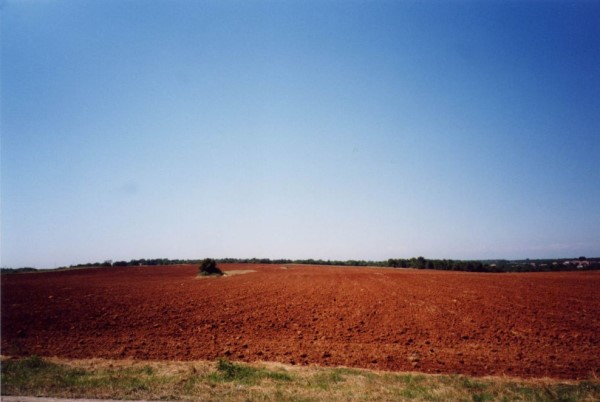 Kırmızı renkli Akdeniz toprakları