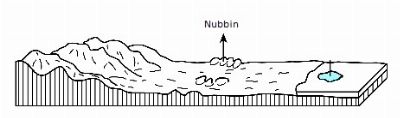 Nubbin