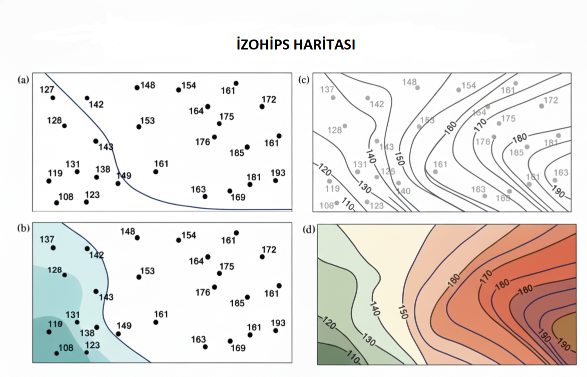 İzoplet Harita (İzolin/İzohips Harita)