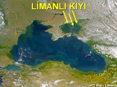 Limanlı kıyı tipi