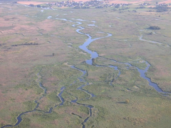 Alüvyal düzlükler