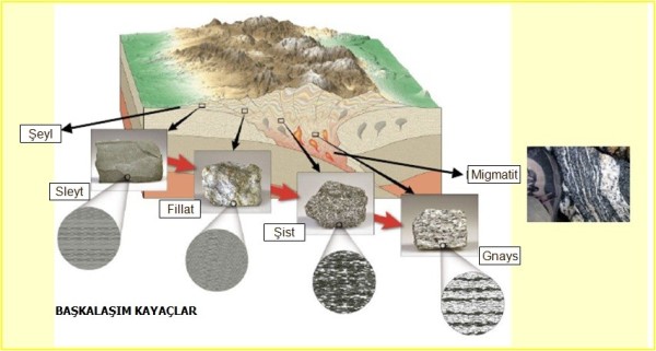 Başkalaşım (Başkalaşma)