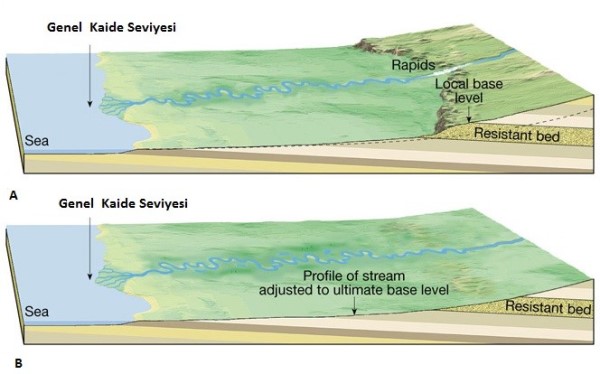 Genel kaide seviyesi