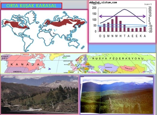 Ilıman iklimin karasal tipi