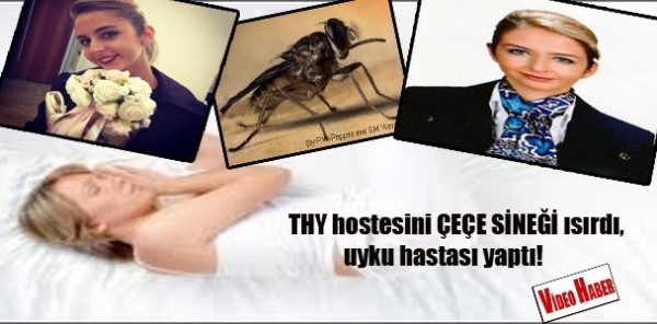 Uyku hastalığı