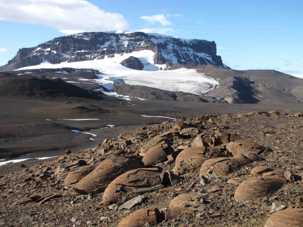 Fiziksel (Mekanik) çözülme