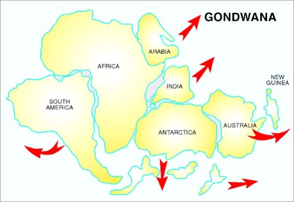 Gondvana