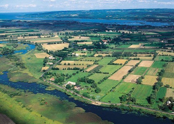 Akarsu birikim ovası