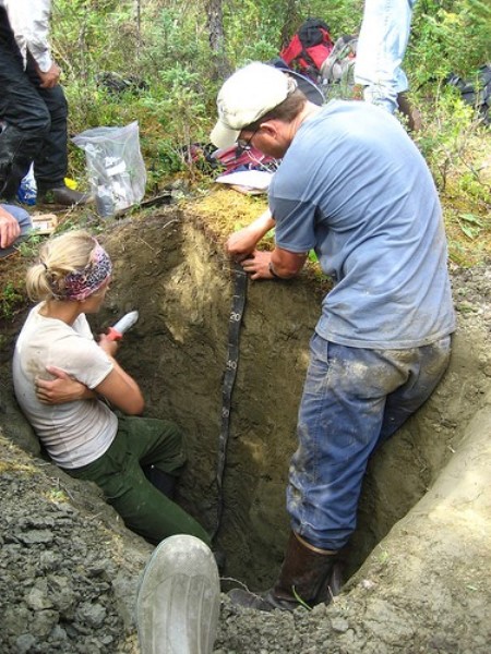 Toprak bilimi (Pedoloji)