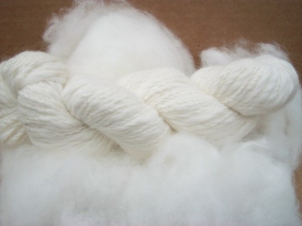 Angora