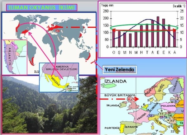 Ilıman iklimin okyanus tipi